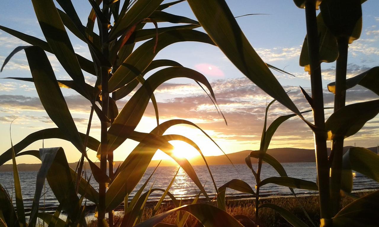 Camping Smeraldo Trevignano Romano Exterior foto