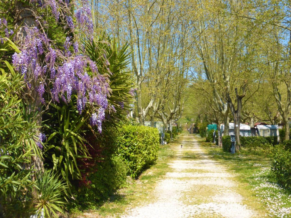 Camping Smeraldo Trevignano Romano Exterior foto